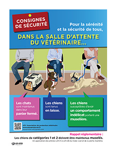 affiche_securite_mini_bordure.jpg