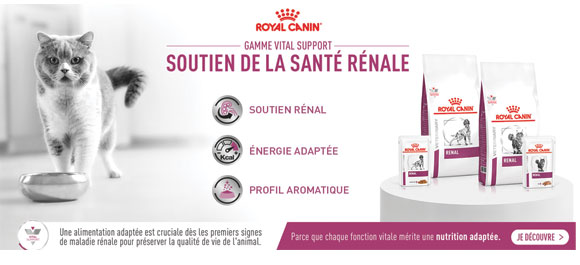 royal-canin-juillet.jpg