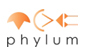 phylum.jpg
