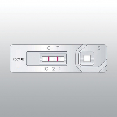 TEST FCOV CORONAVIRUS FÉLIN AB KITVIA