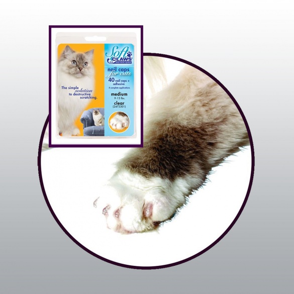 Matériel vétérinaire PROTEGE GRIFFES SOFTCLAWS PROTECTION DE L