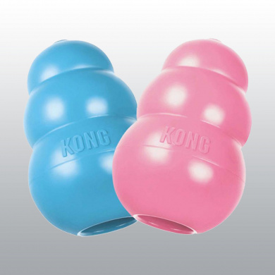 KONG PUPPY