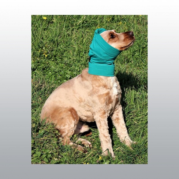Matériel vétérinaire BANDAGE PROTECTION DES OREILLES NO FLAP PROTECTION PANSEMENTS