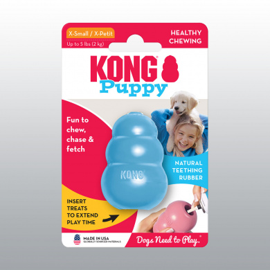 KONG PUPPY