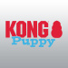 KONG PUPPY
