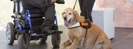 Accessibilité des Etablissements Recevant du Public aux personnes handicapées