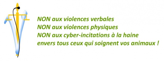 Violences en milieu vétérinaire : Solidarité avec Carine