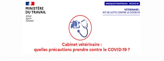 Vétérinaires : Précautions contre le COVID-19