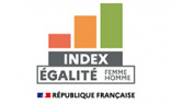 Index de l'égalité professionnelle femme-homme