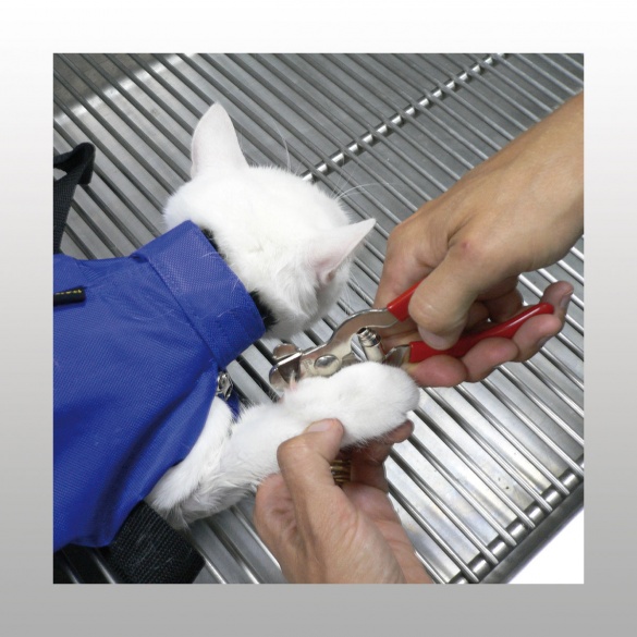 Materiel Veterinaire Sac De Contention Chat Contention Coveto Materiel Veterinaire Sac De Contention Chat Contention Coveto