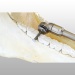 RAPE A DENT POLYFLOAT DROITE STANDARD HDE