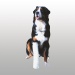 BANDE THERMO-MALLEABLE VET-LITE