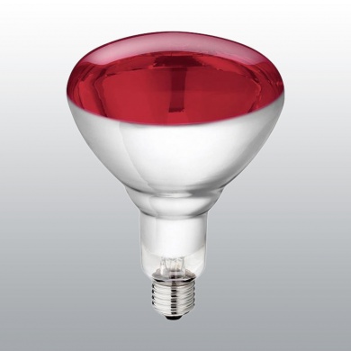 AMPOULE LAMPE INFRAROUGE 250 W