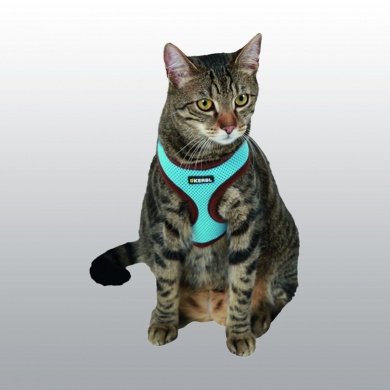 HARNAIS POUR CHAT ACTIVE