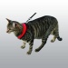 HARNAIS POUR CHAT ACTIVE