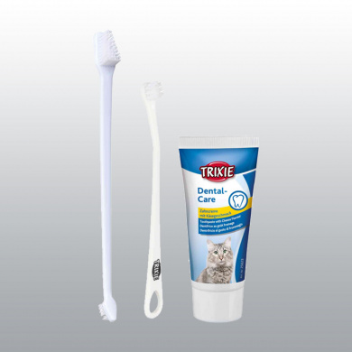 BROSSE A DENTS ET DENTIFRICE POUR CHAT