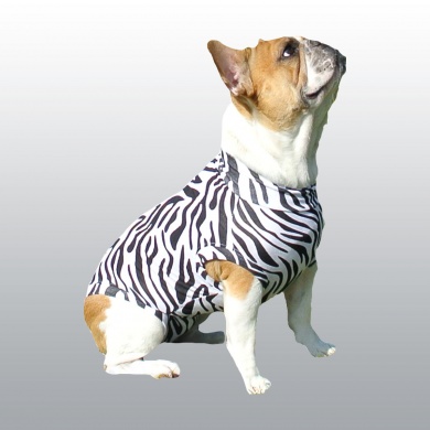 BODY MEDICAL PET SHIRT CHIEN