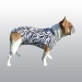 BODY MEDICAL PET SHIRT CHIEN