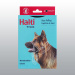COLLIER D'EDUCATION HALTI