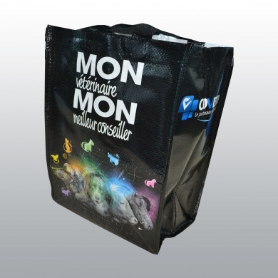 SAC CABAS PETIT FORMAT