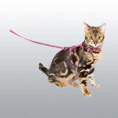 HARNAIS ET LAISSE POUR CHAT 