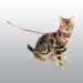 HARNAIS ET LAISSE POUR CHAT 