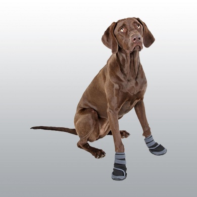 CHAUSSURES CHIEN ACTIVE