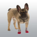 CHAUSSETTES CHIEN BRUNO