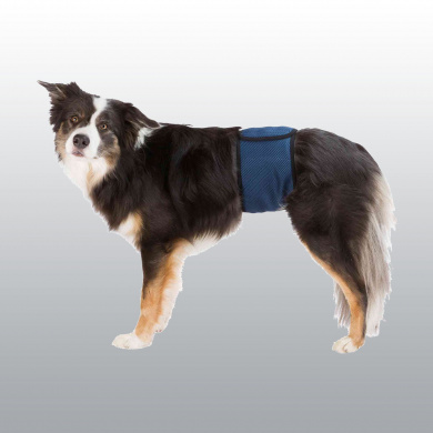 COUCHE LAVABLE POUR CHIEN MALE