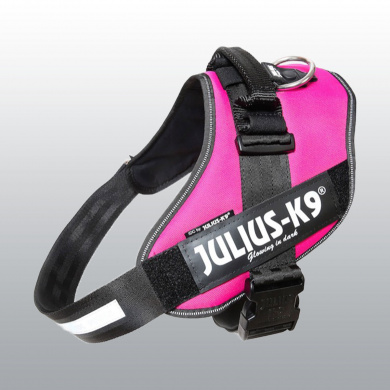 HARNAIS JULIUS IDC POWER FUCHSIA