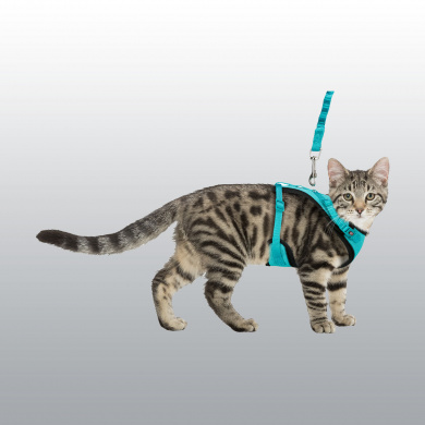 HARNAIS CHAT Y AVEC LAISSE ANTI-SECOUSSES