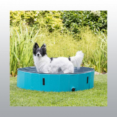 PISCINE POUR CHIEN 