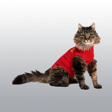 BODY MEDICAL PET SHIRT CHAT