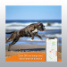 GPS WEENECT XS CHIEN