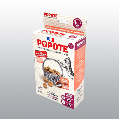 KIT FRIANDISES POPOTE POUR CHAT