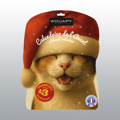 CALENDRIER DE L