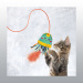 JOUET KONG CHAT TEASER JELLYFISH