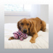 JOUET KONG LOW STUFF STRIPES PIG