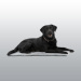 TAPIS KRUUSE VET BED