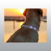 COLLIER ANNEAU LUMINEUX FLASH USB