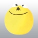 BALLE SMILEY 