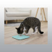 TAPIS A LECHER TURQUOISE