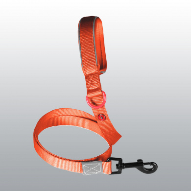 LAISSE PREMIUM ROUILLE