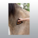 BROSSE MAGICBRUSH TRIANGLE POUR CHEVAUX