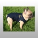 BODY MEDICAL PET SHIRT CHIEN