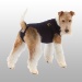 BODY MEDICAL PET SHIRT CHIEN