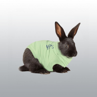 BODY MEDICAL PET SHIRT LAPIN